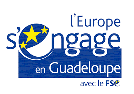 Logo l'europe s'engage