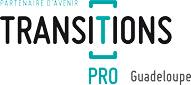 Logo transitions pro